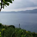 Seaside With A Swimming Pool Viganj, Peljesac - 260 公寓 *