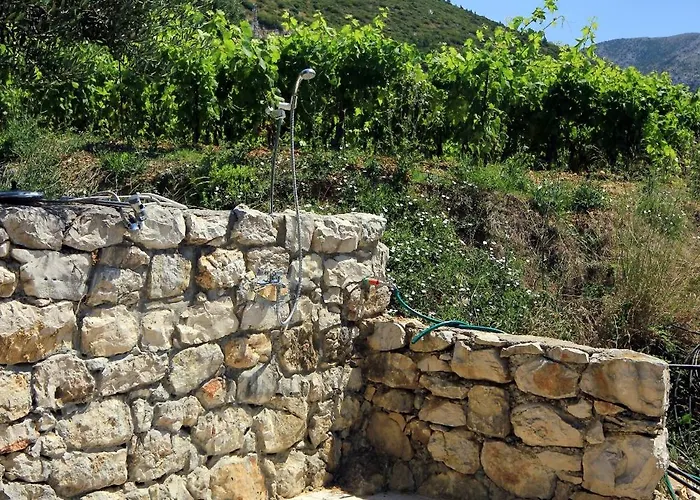 Seaside With A Swimming Pool Viganj, Peljesac - 260 * Viganj