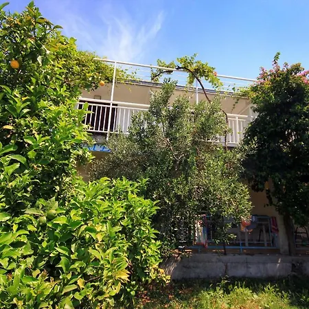 Seaside With A Swimming Pool Viganj, Peljesac - 260 Вигань